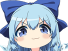 https://image.noelshack.com/fichiers/2025/14/7/1743898572-cirnosmug.png