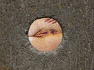 https://image.noelshack.com/fichiers/2025/14/7/1743974944-vide-1.jpg