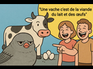 https://image.noelshack.com/fichiers/2025/15/1/1744004744-img-20250407-073325.jpg