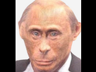 https://image.noelshack.com/fichiers/2025/15/2/1744110124-image.png