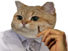 https://image.noelshack.com/fichiers/2025/15/5/1744379584-y20ff-1.png