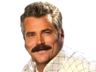 https://image.noelshack.com/fichiers/2025/16/2/1744752645-1650980168-risichad1650980035825.png
