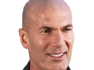 https://image.noelshack.com/fichiers/2025/16/4/1744899867-zinzid-6.png