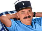 https://image.noelshack.com/fichiers/2025/16/4/1744923586-1696074984-gilberttransat.png