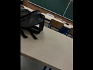 https://image.noelshack.com/fichiers/2025/16/5/1744954776-img-5516.jpeg