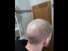 https://image.noelshack.com/fichiers/2025/17/1/1745267269-img-5225.jpeg