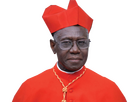 https://image.noelshack.com/fichiers/2025/17/3/1745407274-robert-sarah-cardinal.png