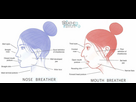 https://image.noelshack.com/fichiers/2025/17/4/1745448828-nose-breather-vs-mouth-breather.jpg