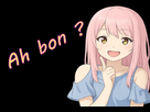 https://image.noelshack.com/fichiers/2025/17/4/1745485977-ah-bonv2.png