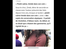 https://image.noelshack.com/fichiers/2025/17/4/1745513756-screenshot-20250424-185500.png