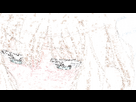https://image.noelshack.com/fichiers/2025/17/6/1745664366-tumblr-5ad8e556e54fd269438f112203e0453b-7e08abd7-540.gif