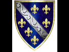 https://image.noelshack.com/fichiers/2025/17/6/1745703936-ovako-je-vra-en-ljiljan-simbol-bosne-7-750x861.jpg