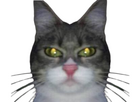 https://image.noelshack.com/fichiers/2025/18/2/1745960072-zazza.png
