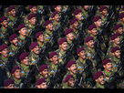 https://image.noelshack.com/fichiers/2025/18/3/1746017843-gpuyyqpxuaa8vfa.jpeg