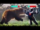 https://image.noelshack.com/fichiers/2025/18/4/1746096859-silverback-gorilla-vs-grizzly-bear-v0-o2mvlkr8zgnjbtmxcp2qnfdqsonzakgxq-04rciefcm.jpg