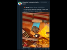 https://image.noelshack.com/fichiers/2025/19/1/1746433007-img-0780.jpeg