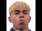 https://image.noelshack.com/fichiers/2025/19/1/1746453551-197db418-0b20-4ec6-9d83-17ab0efacf6a.png