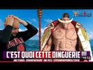 https://image.noelshack.com/fichiers/2025/19/1/1746461549-screenshot-20250505-180359-youtube.jpg