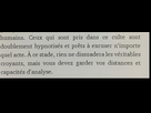 https://image.noelshack.com/fichiers/2025/19/1/1746479784-sans-titre-3.jpg