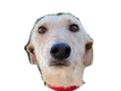 https://image.noelshack.com/fichiers/2025/19/3/1746608910-dg.png