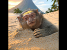 https://image.noelshack.com/fichiers/2025/19/3/1746646051-gridart-20250507-212136167.jpg