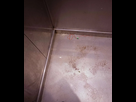 https://image.noelshack.com/fichiers/2025/19/4/1746730939-pisse2.jpg
