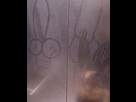 https://image.noelshack.com/fichiers/2025/19/4/1746730945-pisse3.png