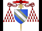 https://image.noelshack.com/fichiers/2025/19/5/1746800610-coa-cardinal-de-champagne-svg.png