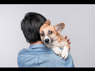 https://image.noelshack.com/fichiers/2025/19/5/1746812805-chien-peur.jpg