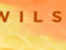 https://image.noelshack.com/fichiers/2025/19/7/1746915478-12-2e3bs1yv.png