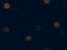 https://image.noelshack.com/fichiers/2025/19/7/1746985256-24-4q7y3iad.png
