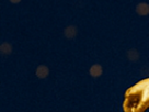 https://image.noelshack.com/fichiers/2025/19/7/1746985374-37-4q7y3iad.png