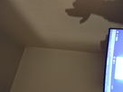 https://image.noelshack.com/minis/2025/20/2/1747091955-img-20250513-011414.png