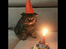 https://image.noelshack.com/fichiers/2025/20/3/1747241417-sad-alone.png