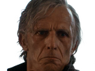 https://image.noelshack.com/fichiers/2025/20/4/1747320483-carryl-72.png