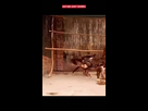 https://image.noelshack.com/fichiers/2025/20/6/1747474688-0006546546.gif