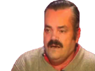 https://image.noelshack.com/fichiers/2025/20/6/1747475763-img-0347.png