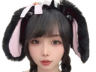 https://image.noelshack.com/fichiers/2025/21/1/1747686023-ziying-polluxies-2.png