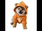 https://image.noelshack.com/fichiers/2025/21/4/1747939195-dog.jpeg