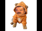 https://image.noelshack.com/fichiers/2025/21/4/1747940654-chienrisitas.png