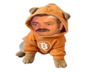 https://image.noelshack.com/fichiers/2025/21/4/1747940699-chienrisitas.png