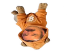 https://image.noelshack.com/fichiers/2025/21/4/1747940988-chienrisitas.png