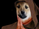 https://image.noelshack.com/fichiers/2025/21/4/1747941232-image.png