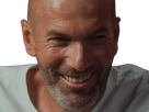 https://image.noelshack.com/fichiers/2025/21/5/1747975156-zz-goat.png