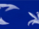 https://image.noelshack.com/fichiers/2025/21/5/1747993538-5-ip7j1m4j.png