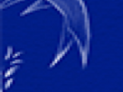 https://image.noelshack.com/fichiers/2025/21/5/1747993554-22-ip7j1m4j.png