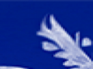 https://image.noelshack.com/fichiers/2025/21/5/1747993554-7-ip7j1m4j.png