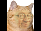 https://image.noelshack.com/fichiers/2025/21/5/1748006802-image-1.png