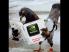 https://image.noelshack.com/fichiers/2025/21/6/1748040335-image.jpg