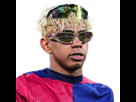 https://image.noelshack.com/minis/2025/21/6/1748042481-img-20250524-010948.png